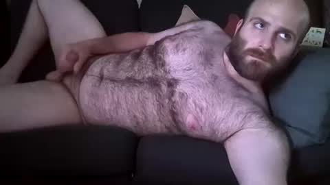 Hairiest Bear online show from 06.09.26