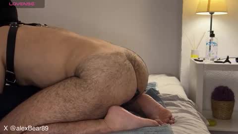 hairyarabbear online show from 09.13.25