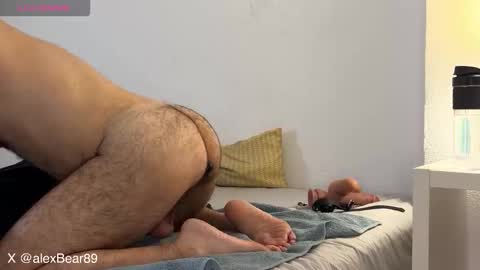 hairyarabbear online show from 12.02.25