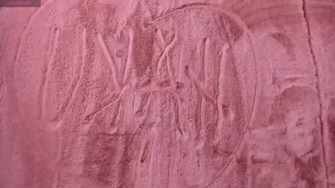 Snapshot of hakurukushka chatting on 01.22.25 Haku Please help me with your thumbs up its important online show from 01.22.25