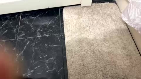 halebb online show from 10.20.25