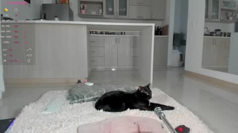 insta Laupalacio777Next stream 01th December online show from 12.12.24