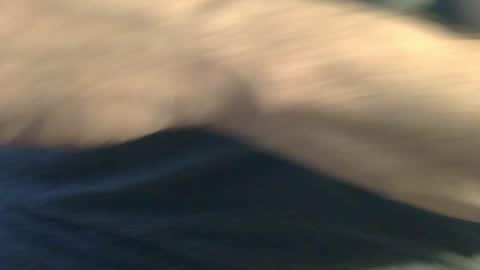 hamhead71 online show from 12.30.24