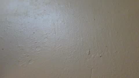 hamhead71 online show from 01.27.25