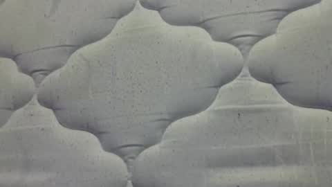 hamhead71 online show from 04.15.26