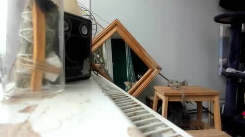 handncocknocum online show from 02.19.25