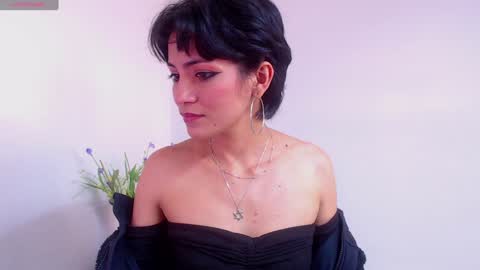 Snapshot of hanna_chloe chatting on 01.31.25 Sara online show from 01.31.25
