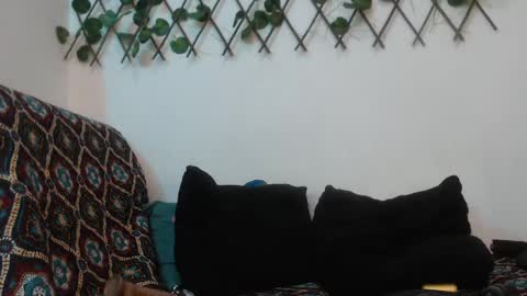 SARA  online show from 01.12.25