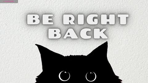 Snapshot of hannarainbow_ chatting on 02.04.25 Hanna online show from 02.04.25