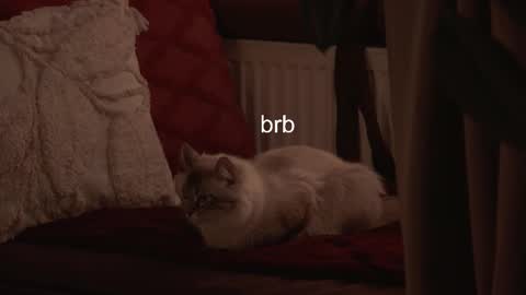 Hanna online show from 02.03.26