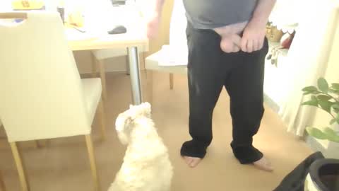 Snapshot of harald1234 chatting on 02.21.26 harald1234 online show from 02.21.26