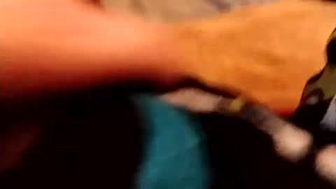 hardandhorny422 online show from 12.04.25