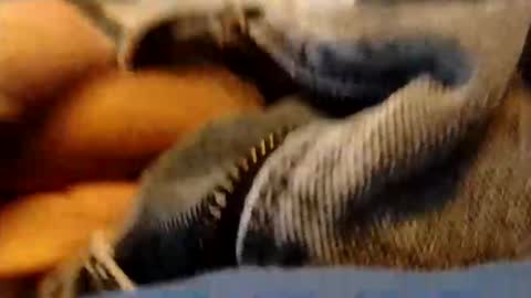 hardandhorny422 online show from 01.15.26