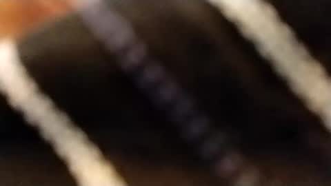 hardandhorny422 online show from 02.12.26