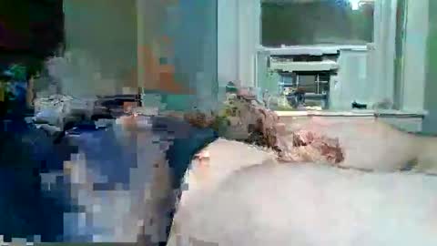 cervixpainter25 online show from 11.30.25