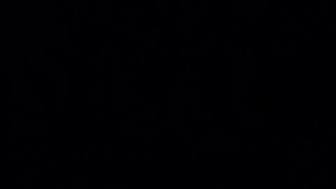 Iordan online show from 12.24.24