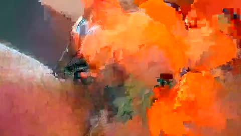 Iordan online show from 02.02.25