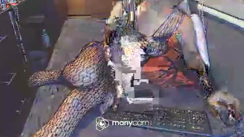 Snapshot of hardfucking_mistress chatting on 03.03.25 Irina online show from 03.03.25