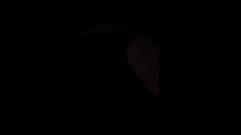 hardone00000 online show from 02.10.26