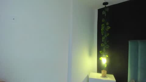 Snapshot of harleyqueen_robbie chatting on 12.21.24 harleyqueen_robbie online show from 12.21.24