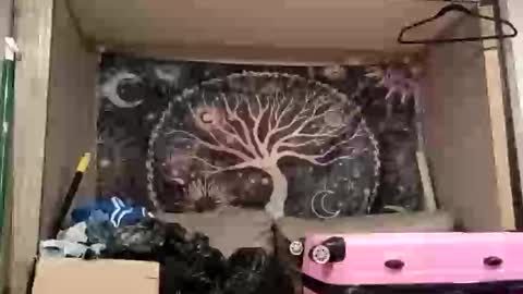 Snapshot of harlleymiller673 chatting on 10.17.25 harlleymiller673 online show from 10.17.25