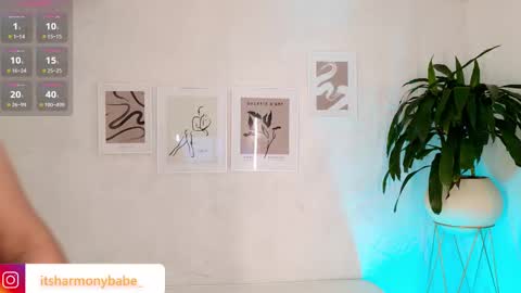 Harmony online show from 11.08.25