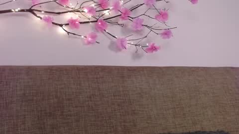     online show from 01.06.25