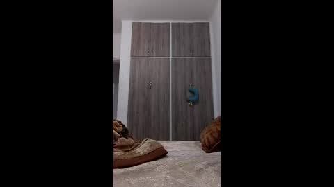 hassane12 online show from 04.02.26