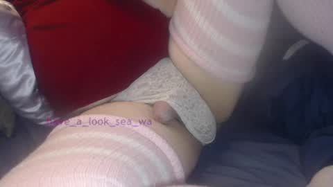 Snapshot of have_a_look_sea_wa chatting on 12.19.24 have_a_look_sea_wa online show from 12.19.24