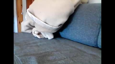 Snapshot of havier282874 chatting on 05.22.26 havier282874 online show from 05.22.26