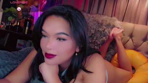 HAYFA online show from 11.11.25