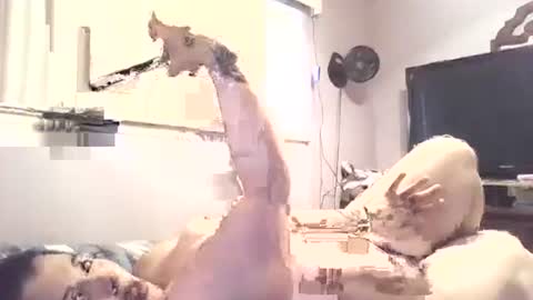 hazelbasil32728 online show from 10.30.25