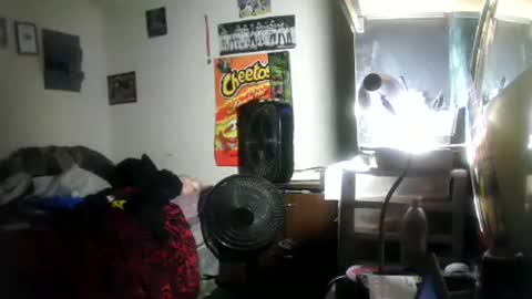 hbdj2164 online show from 01.18.26