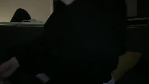 Snapshot of hchappel19 chatting on 10.01.25 hchappel19 online show from 10.01.25