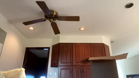 Snapshot of heatwavee chatting on 11.04.25 heatwavee online show from 11.04.25