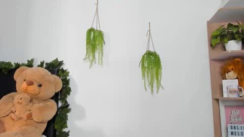 alan y zack online show from 03.07.26