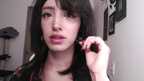 cher online show from 01.11.25