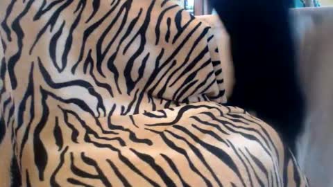 Snapshot of helvella chatting on 02.13.26 Helvell online show from 02.13.26