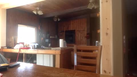 Jason online show from 02.26.26