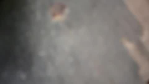 Snapshot of herletigre12345 chatting on 10.18.25 herletigre12345 online show from 10.18.25