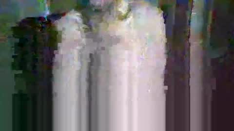 Herman Loves online show from 01.14.26