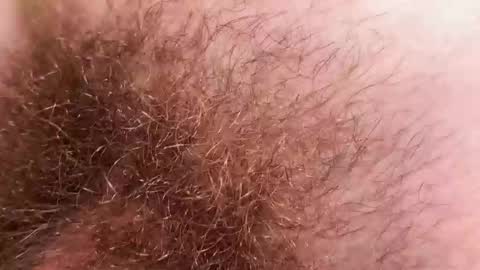 Arnold online show from 12.02.25