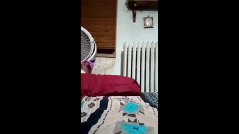 heythatguy2589 online show from 03.21.26