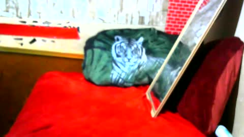 hhhjnf1 online show from 09.17.25