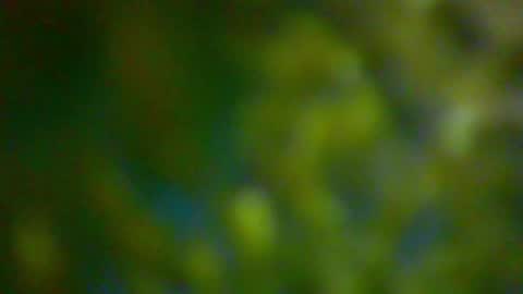 hhhjnf1 online show from 10.06.25