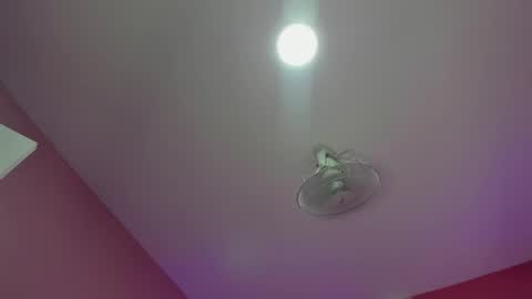 hilary_tailor online show from 12.19.25