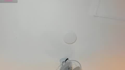 hilary_tailor online show from 01.12.26