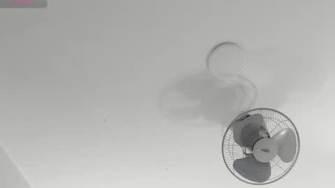 hilary_tailor online show from 01.14.26