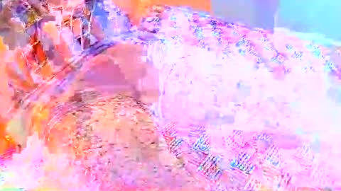 hipapix online show from 04.12.26