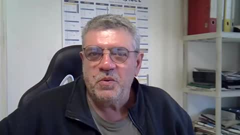 hippo online show from 12.11.24